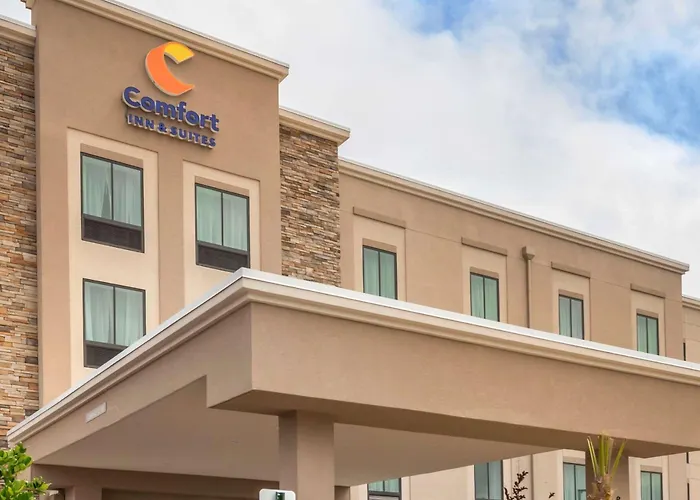 Comfort Inn & Suites Jacksonville - Orange Park Near Naval Air Station