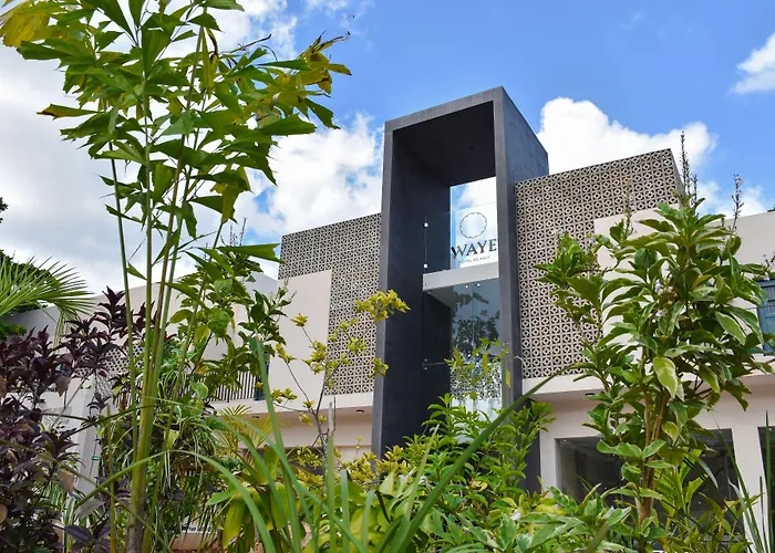 Waye Valladolid Centro - Sustainable, Authentic Experiences & Pet Friendly Boutique Hotel