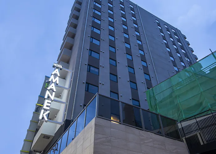 Hotel Amanek Kamata-Eki Mae Tokyo
