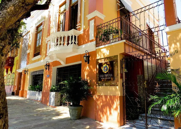 Casa Perpetua Hotel D Charm Manaus