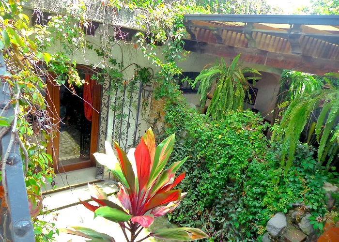 Cissus Hotel Boutique (Adults Only) Antigua