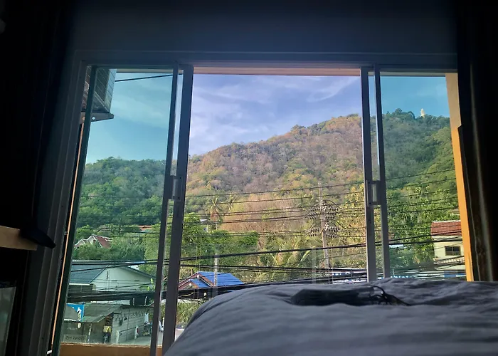 Tall Tree Kata Phuket