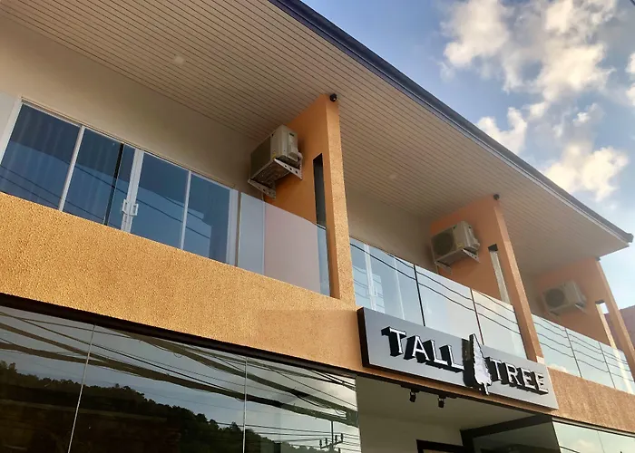 Tall Tree Kata Phuket