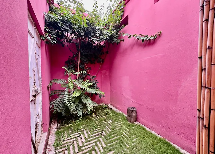 Ocho Apartment Oaxaca