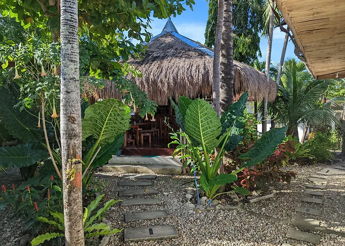 Crazy Bears Hostel Moalboal