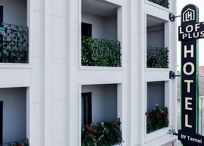Plus Hotel & Private Transportation Istanbul Airport-By Loft Arnavutkoy