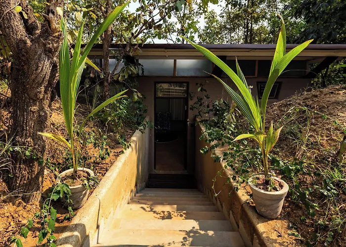 Kanha Jungle Camp