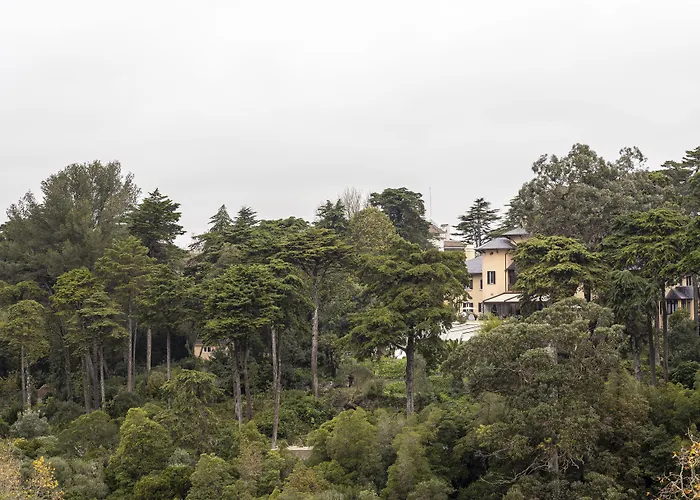 Sintra Marmoris Camelia Hotel
