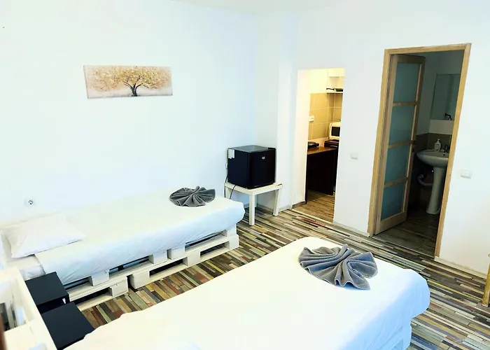 Schei Brasov-Скей Брашов Apartment