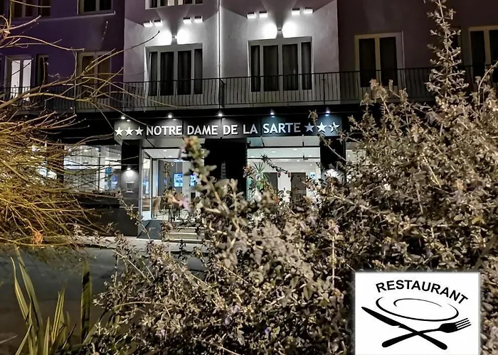 Adonis Lourdes - Notre Dame De La Sarte Hotel