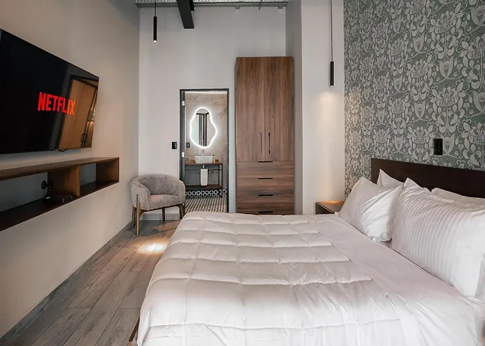 Botanic Loft Stylish And Cozy Retreat Apartment Mexico City