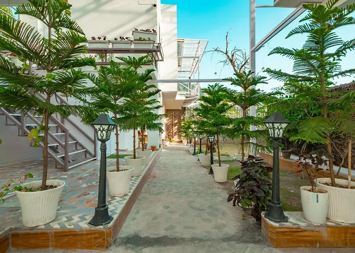 Puntush By The Staycationer Dehradun