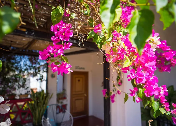 El Diablo Y La Sandia B&B Oaxaca