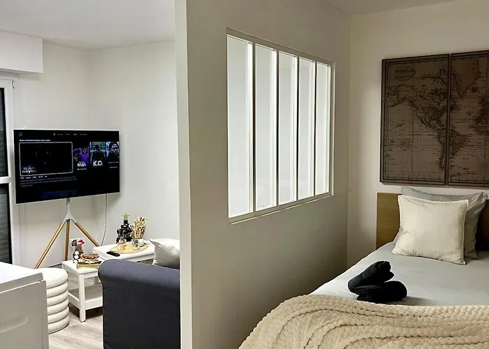 Appartement Avec Jacuzzi Proche Du Centre Strasbourg