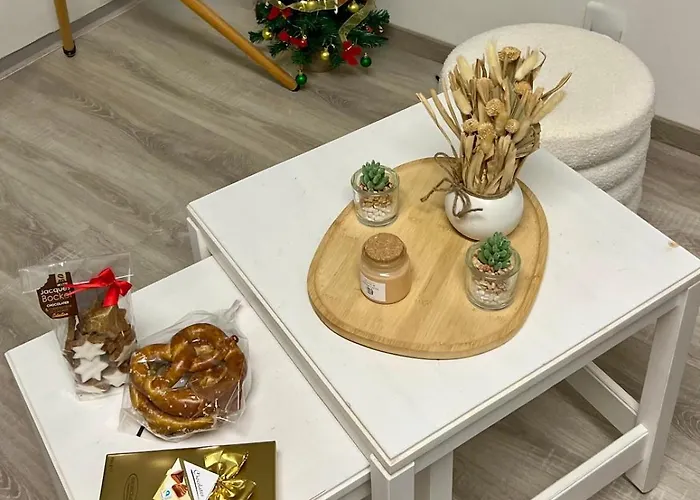 Appartement Avec Jacuzzi Proche Du Centre Strasbourg