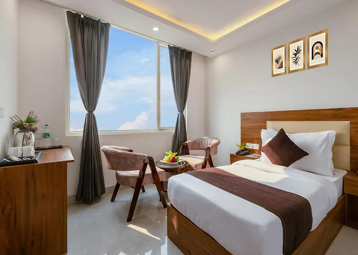 Hotel Clark-Ston Runway Near Igi Airport New Delhi