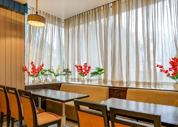 Hotel Lime Pride Near Igi Airport Delhi New Delhi