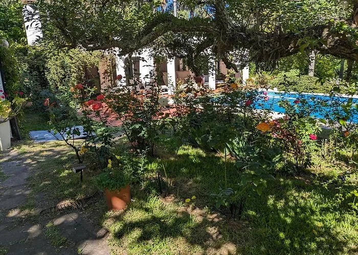 Pura Vida - Amazing Villa With 4 Bedrooms For Up To 11 Guests Close To Beach Punta del Este