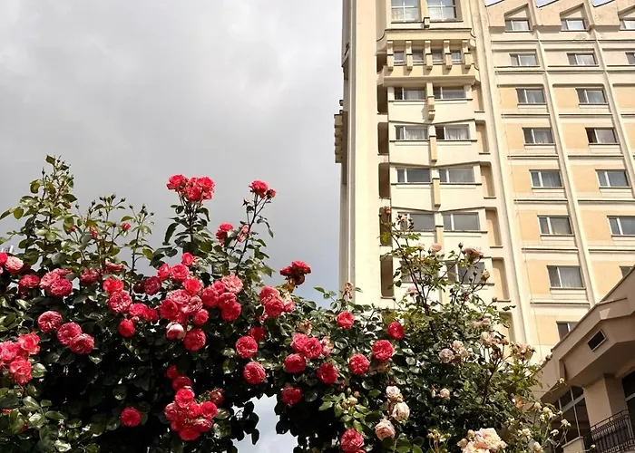 Hotel Mara Baia Mare