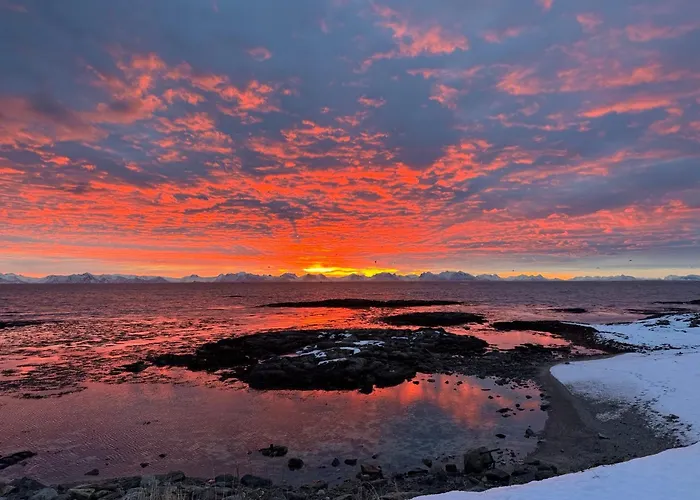 Gronnbuene Rorbu Hotel Andenes
