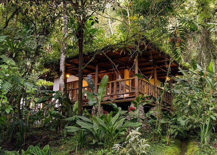 Rancho Margot Sustainable & Self Sufficient Eco Lodge El Castillo