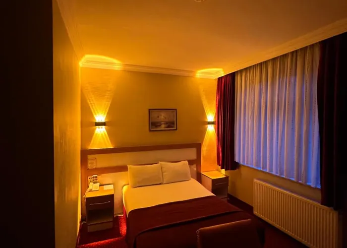 Mina 1 Hotel Ankara