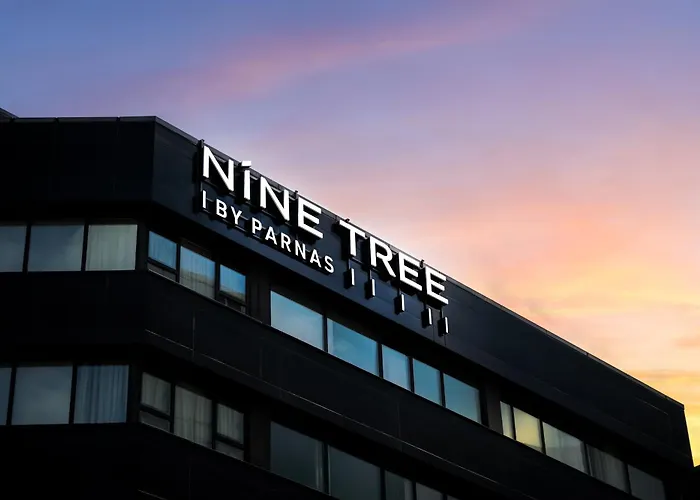 Nine Tree By Parnas Seoul Myeongdong 1 Hotel