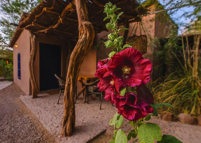 Ckoi Atacama Lodge San Pedro de Atacama