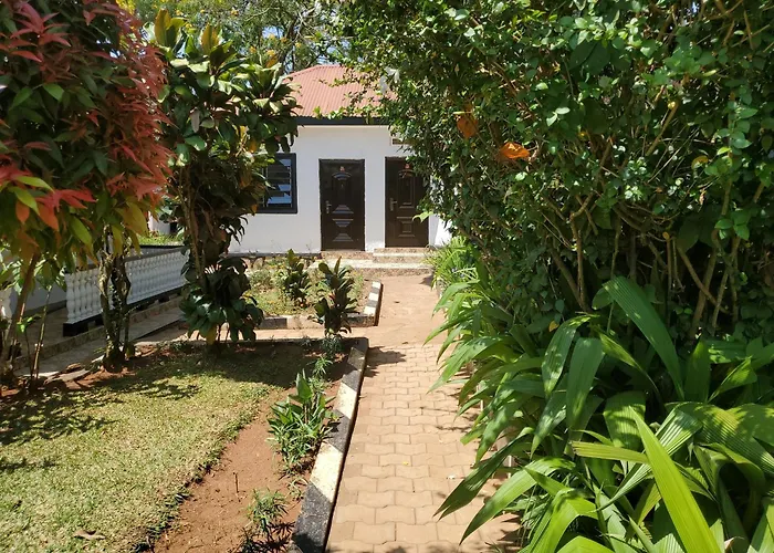 Gorilla African Guest House Entebbe