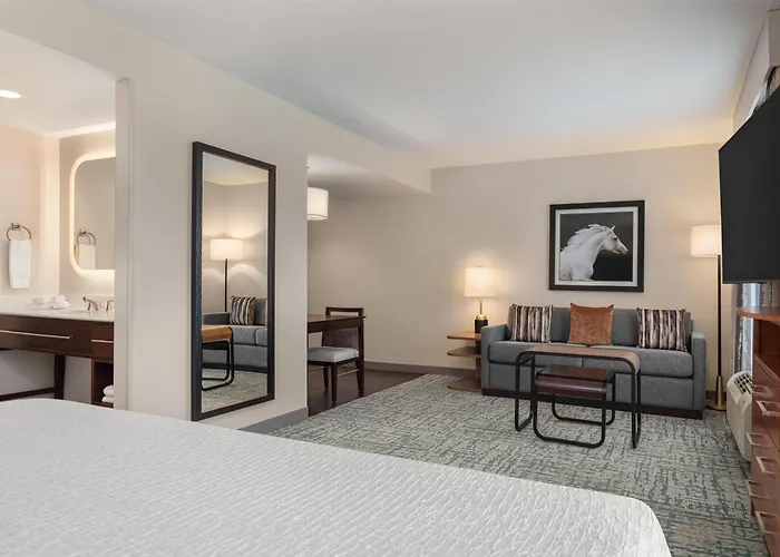 Homewood Suites Techridge Parmer @ I-35 Austin
