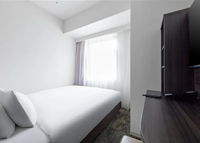 Sotetsu Fresa Inn Kitahama Osaka