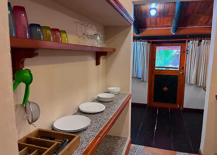 The Diving Lodge Downtown Puerto Morelos