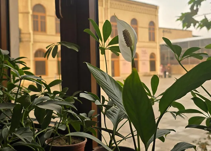 An-Nur Boutique Hotel Bukhara
