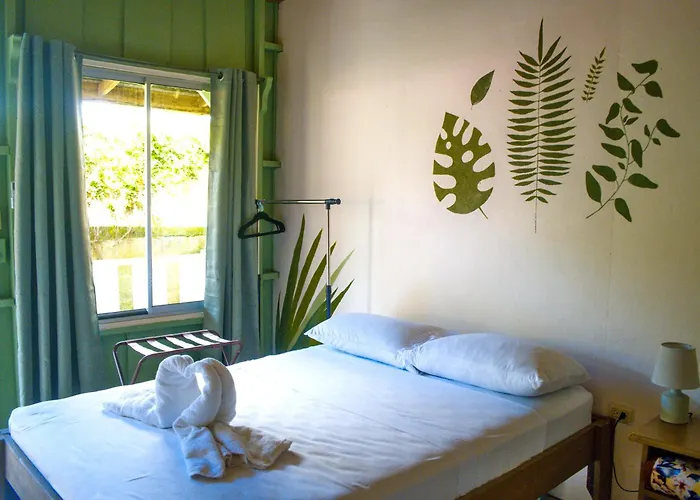 Alpha Arenal Hostel La Fortuna