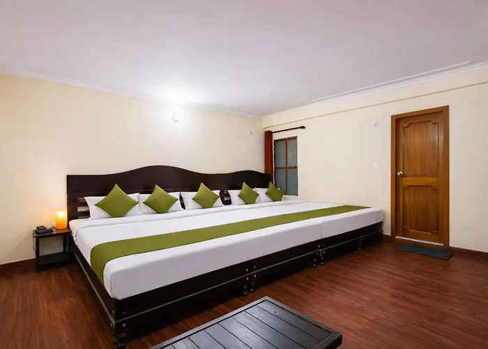 Naini View Hotel Bhavya Chand-R Near Mall Road, Free Wifi And Room Service, Best Budget Class Hotel In Nainital