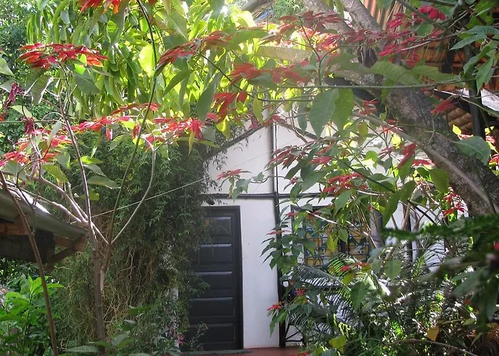 Banana Jungle Lodge Moshi
