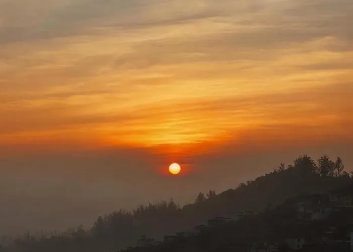 Rastafari - The Backpackers Hostel Ooty