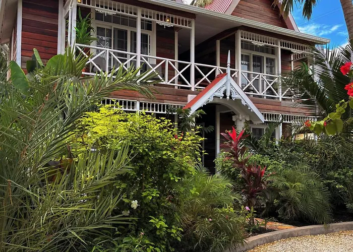 Caye Caulker Boutique Guesthouse 5