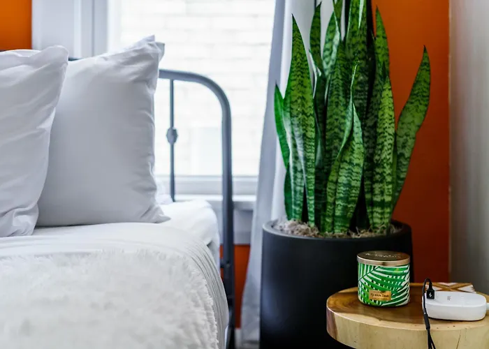 Jungle House Luxury Stays - Columbus Downtown Short North