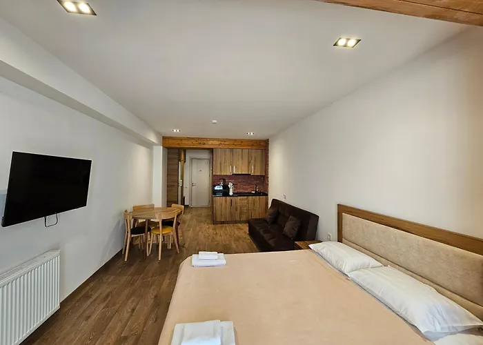 Evdo Apartments F4 Wooden Cozy Studio Gudauri