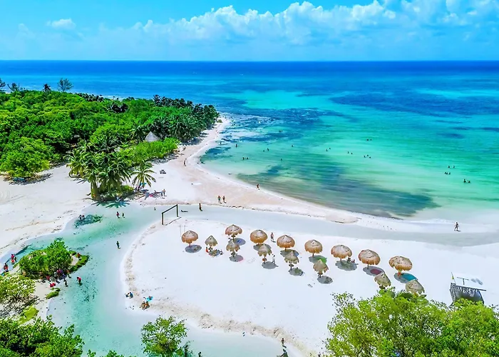 Cozy Memory Foam Bed Apartment, Full Kitchen, Cenote & Beach 8-Min Walk In Pdc 1B Playa del Carmen
