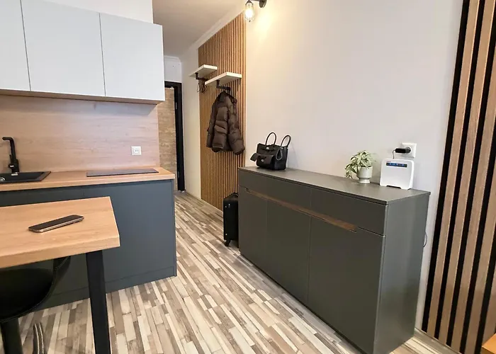 Evis Ltd Apartments Gudauri
