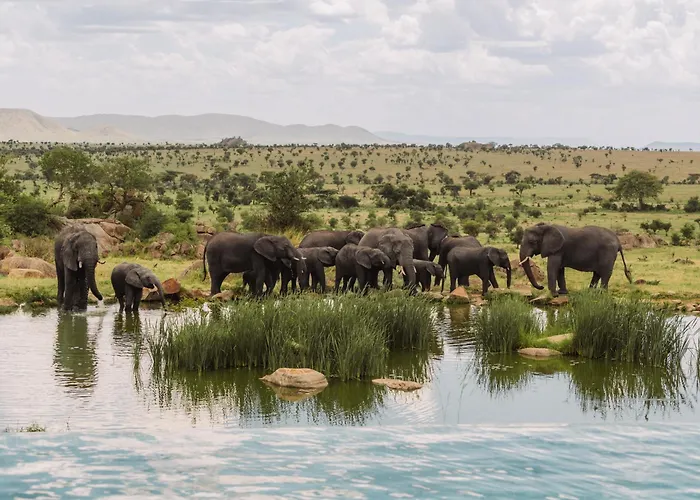 Four Seasons Safari Lodge Serengeti Banagi
