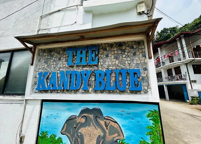 Kandy Blue