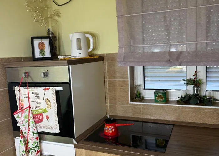 Apartman Vita Vrnjacka Banja