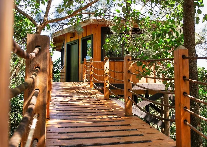 The Grand Forest Jarabacoa