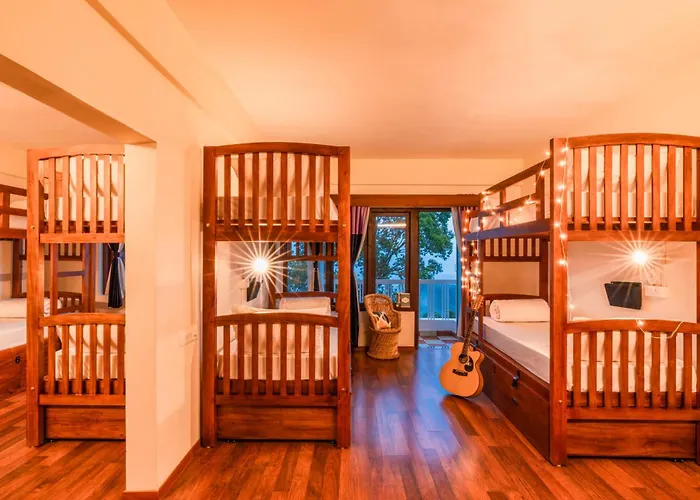 Monkey Tribe Munnar Hostel