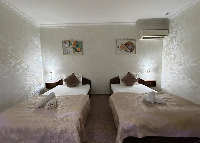 Nur M Hotel Free Transfe Hotel In Airoport Tashkent