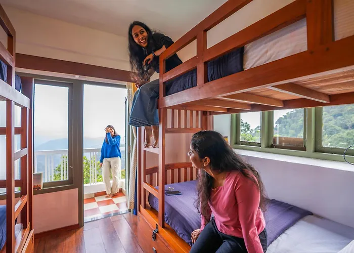 Monkey Tribe Munnar Hostel