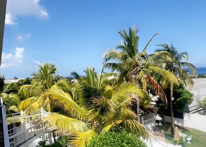 Cocoon Signature Palm Tree Garden Flic en Flac